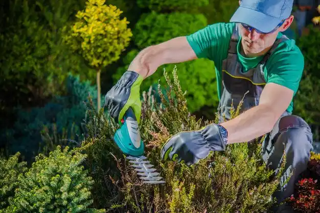 landscaping services Choctaw